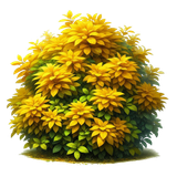 yellowmellow bush3