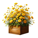 yellowmellow boxplanter3