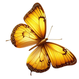 yellowmellow butterfly.png