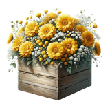 yellowmellow boxplanter