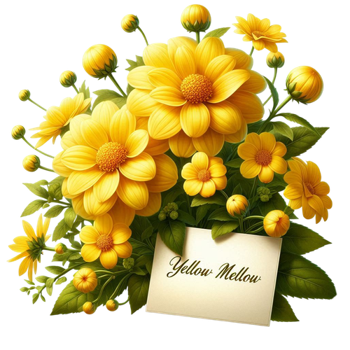 yellowmellow flowersandcard3.png