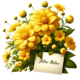 yellowmellow flowersandcard3