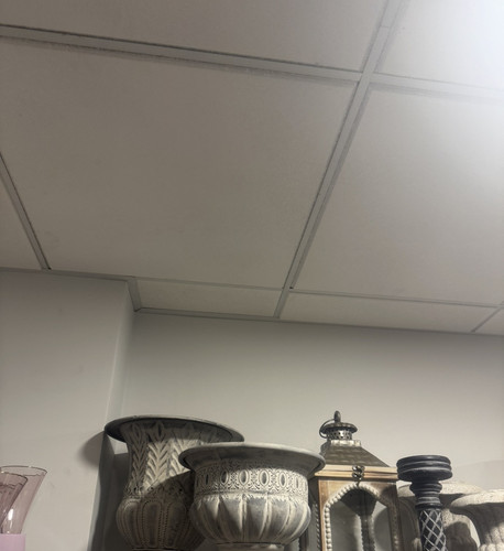 69F9D512 404B 4D90 885D 868BBCF0C860.jpg