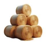 yellowmellow haybales