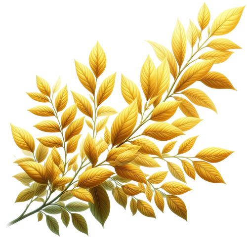 yellowmellow leaves2.png