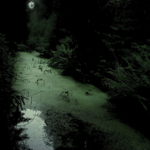 Untitled design (33).png