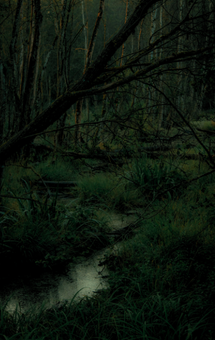 Untitled design (34).png