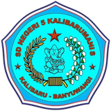 WhatsApp Image 2026 01 19 at 10.40.48 removebg preview.png