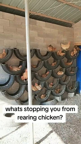 xKoL 2hp3aJhhOWb.jpg