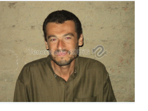 حامد محمد بدوى.jpg