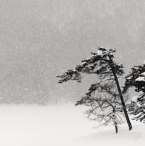 IMG 20260122 011812.jpg