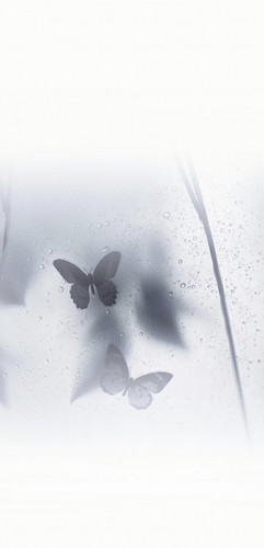 IMG 20260122 011827.jpg