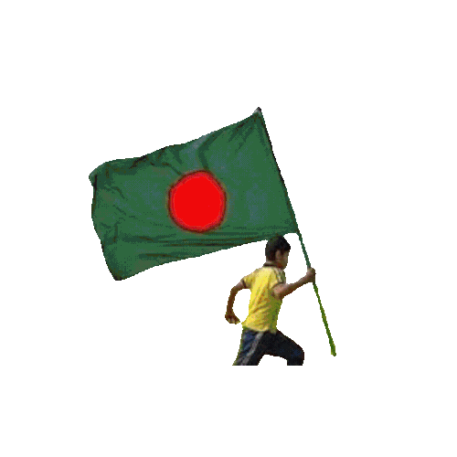 GIF 20251229 170256 541.gif