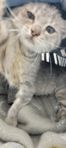 G H5iOsXUAArQQs?format=jpg.jpg