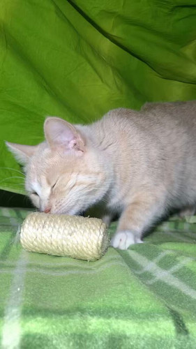 aDwUO56ghdnX ayD.jpg