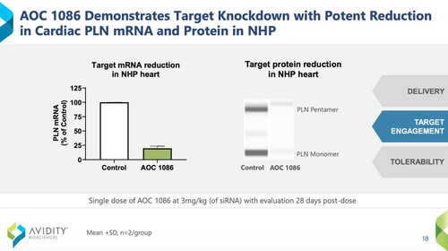 G F93Y4WcAAo8TN?format=jpg.jpg