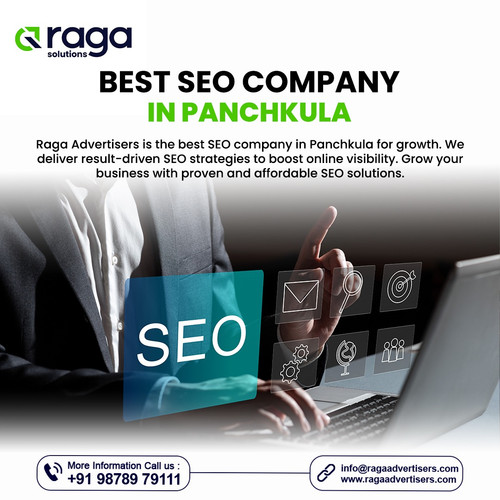 Best SEO Company in Panchkula.jpg