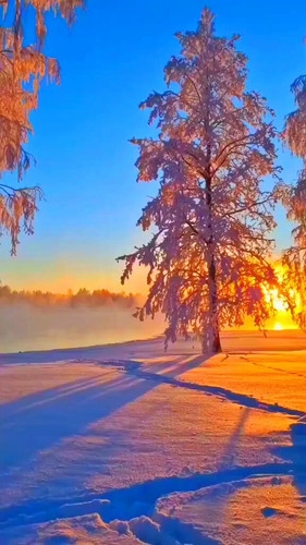 tupZdx FcIzsJBo .jpg