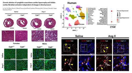 G Gs4LTXUAAj1TW?format=jpg.jpg