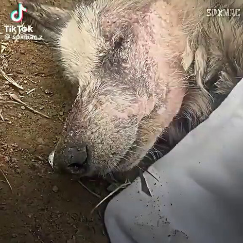 S0Qtc VjUMSGP1Ru.jpg