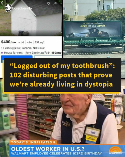 humans of dystopia posts.jpg