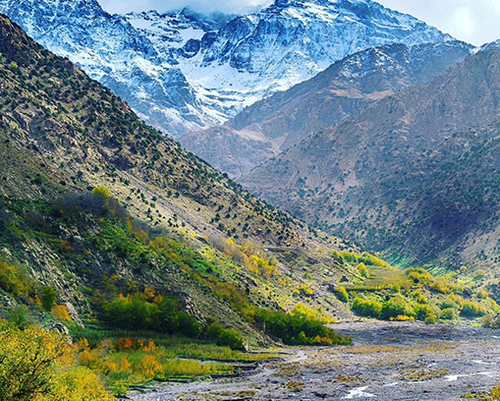 Morocco Group Tours | Authentic Experiences by Uniquely Morocco.png