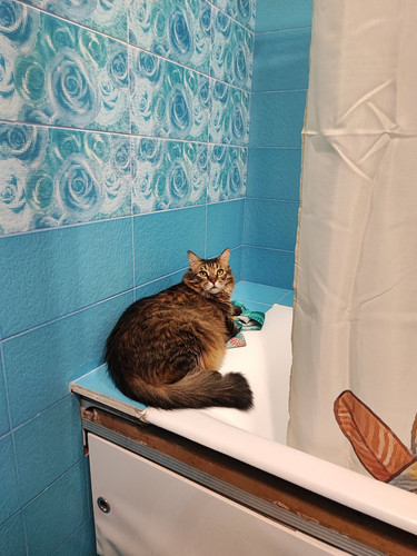 G Fz6uAXcAA79rS?format=jpg.jpg