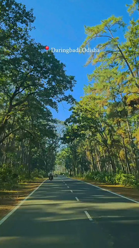 mhCz jWvoH4J06DP.jpg