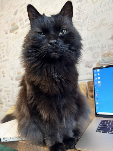 G GcNQvWEAA0 F?format=jpg.jpg