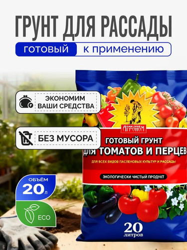 6018072759314877314 y 4.jpg