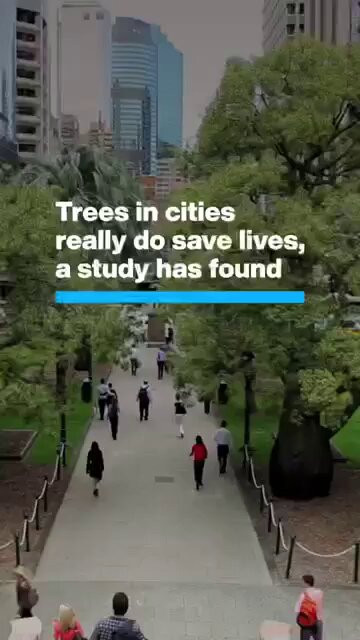 DevWSnXt6hQz rgi.jpg