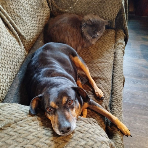 G HLdfLX0AApLkq?format=jpg.jpg