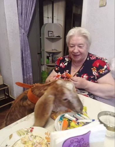 G F6WIhW0AAHPW9?format=jpg.jpg