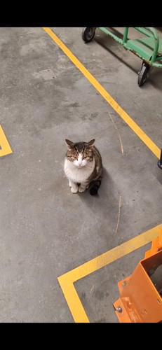 G C vciXUAAkWpe?format=jpg.jpg