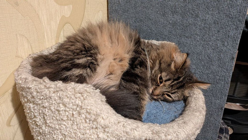 G Ks267W0AA47cq?format=jpg.jpg