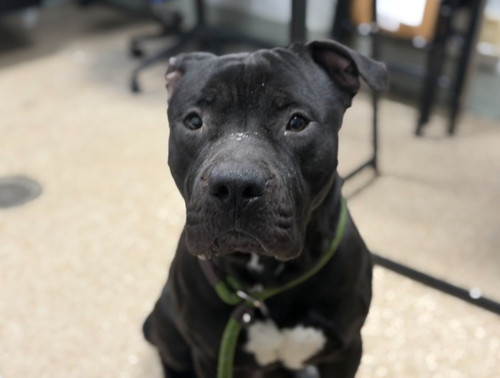 G L GLHbgAAgnvS?format=jpg.jpg