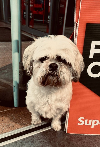 G JGQXPXcAERV3t?format=jpg.jpg