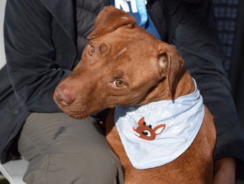 G a7K 9agAAdh0q?format=jpg.jpg