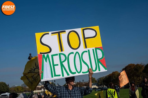 616868330 1257824319825171 8560969966548621370 n.jpg?stp=dst jpg p180x540 tt6& nc cat=107&ccb=1 7& n.jpg