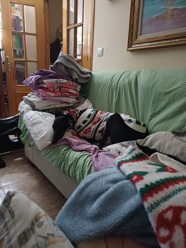 G E5iwNXMAASA2x?format=jpg.jpg