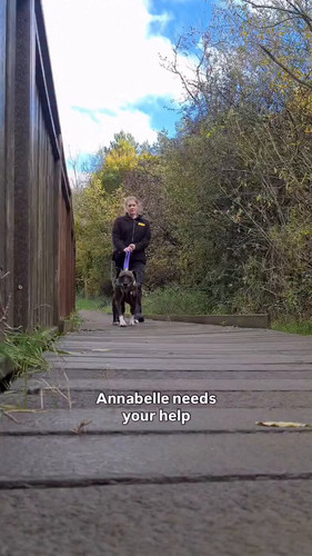 13 tzg5isvkKwkuI.jpg