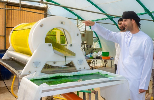 G LDmeoXYAA6TFN?format=jpg.jpg