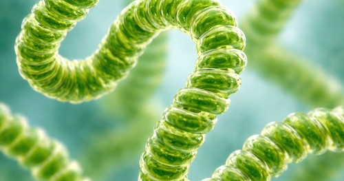 G LDmeoWYAABNw0?format=jpg.jpg