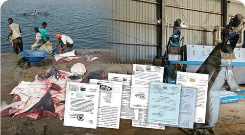 G I DMbW0AAUWnv?format=jpg.jpg