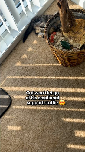 hx 4Nq2 8k5m8YbY.jpg