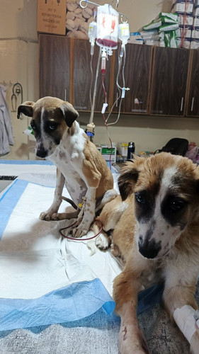 G ESbw9XQAEt0Aa?format=jpg.jpg