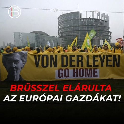 619113966 1303300611603696 7151491698742494256 n.jpg?stp=dst jpg p526x296 tt6& nc cat=110&ccb=1 7& n.jpg