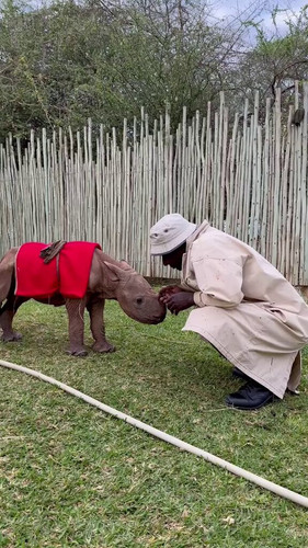 k0dvgFU DhWPTgnu.jpg