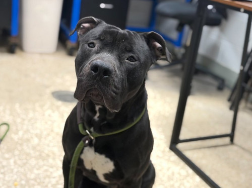 G L 8iwa0AIH0mJ?format=jpg.jpg