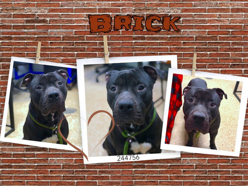 G Qb4TVasAMhqqD?format=jpg.jpg